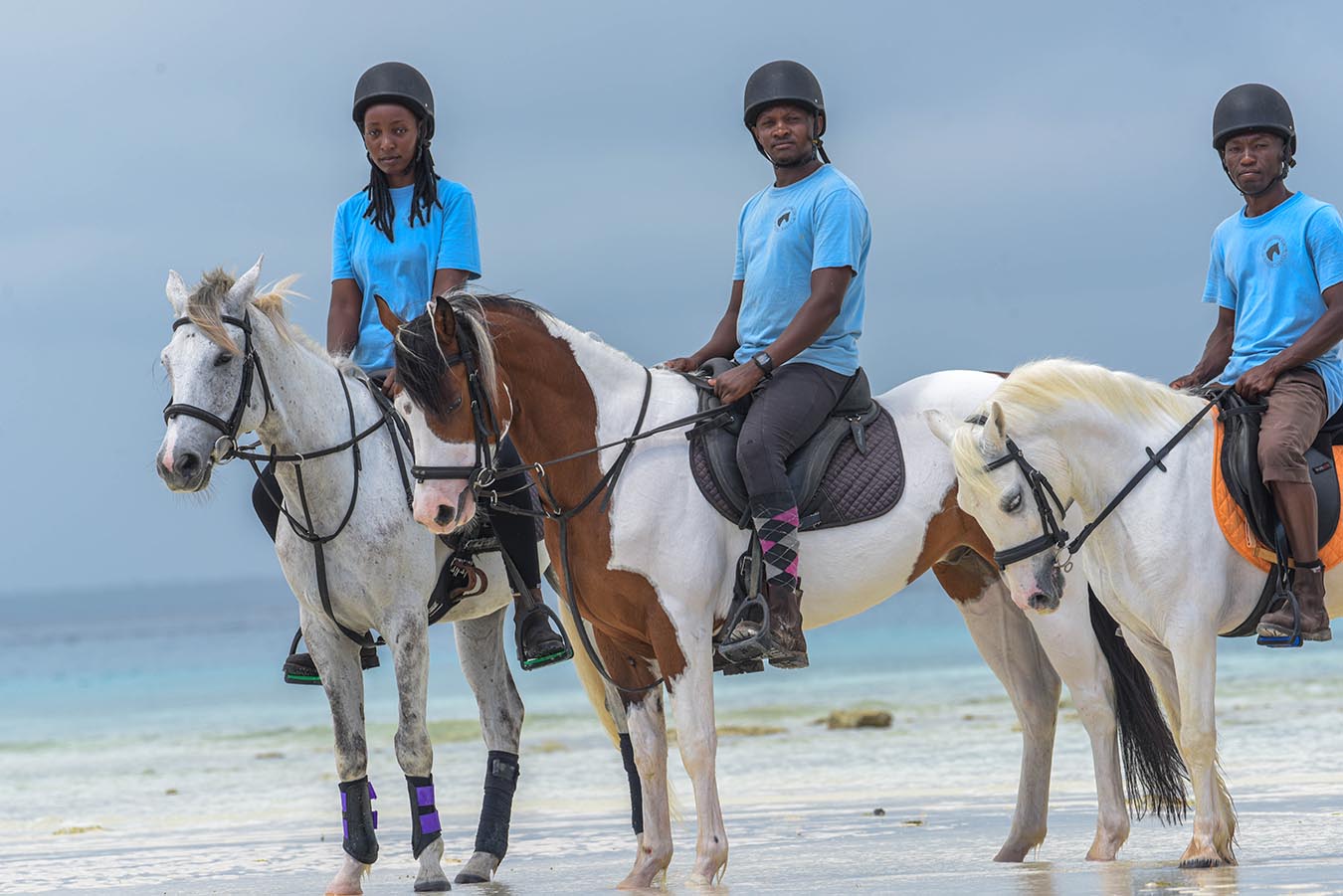 Meet Our Horses Zanzibar Horse Club